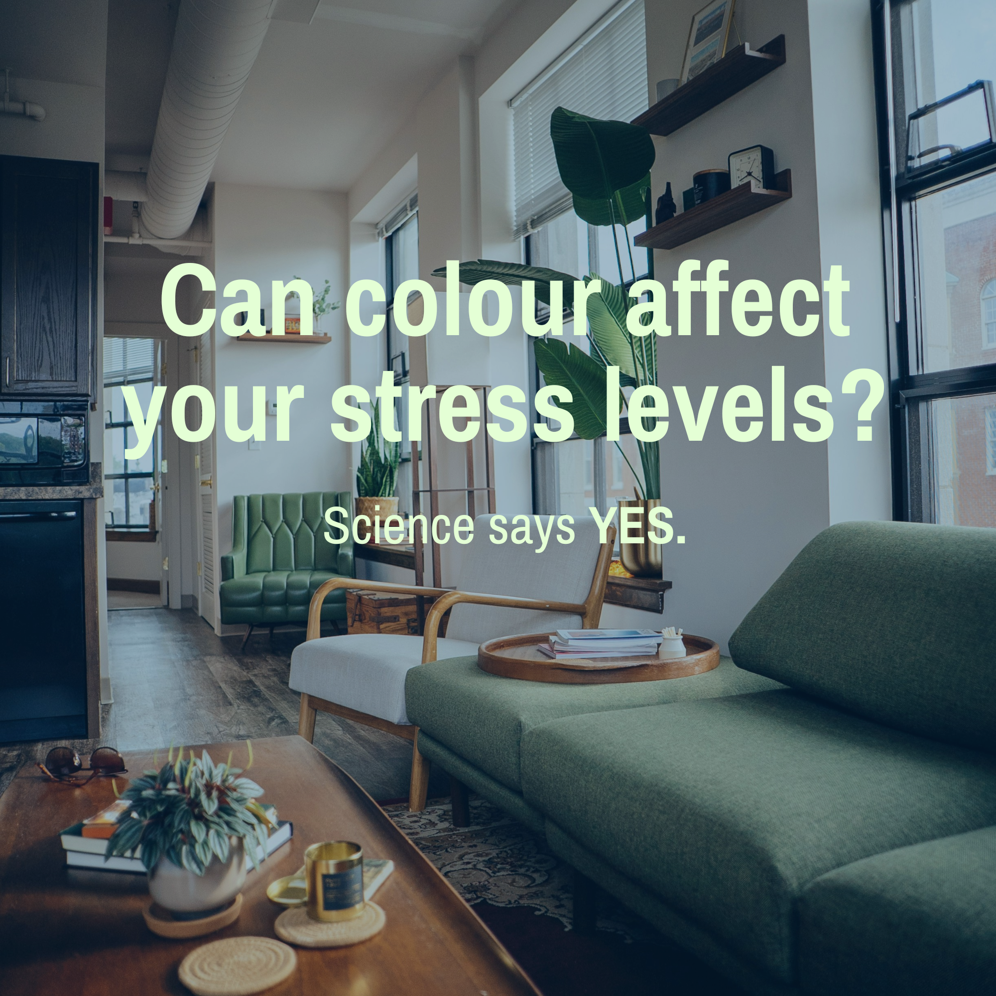 Green Colour Psychology: How Green in Your Home Can Improve Mood and Reduce Stress