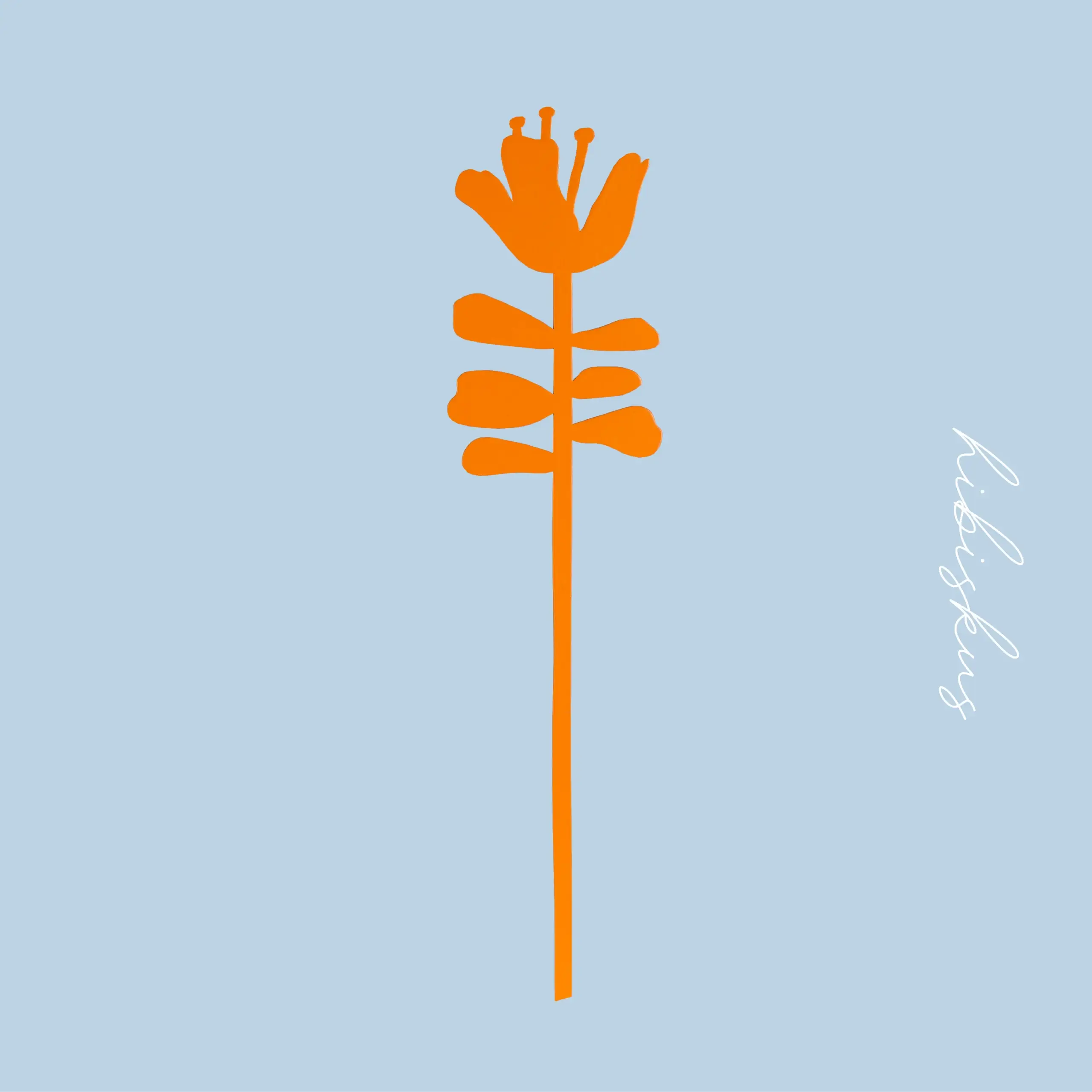 Flowers That NEVER Die