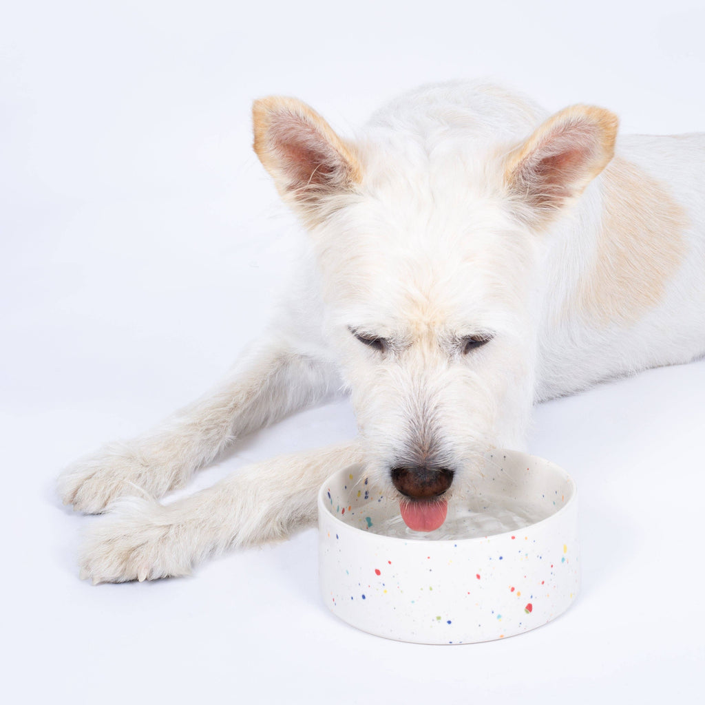 Your Favorite Pet Bowl | Blue Speckled | 14cm | 500ml