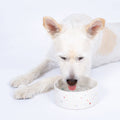 Your favorite Pet Bowl | White Speckled | 14cm | 500ml