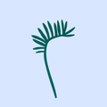 Decorative Wooden Flower | Green Palm