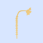 Decorative Wooden Flower | Butter Yellow Morning Glory